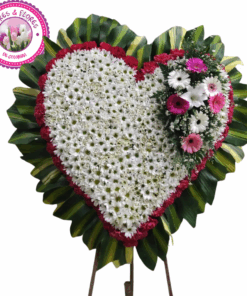 corazon especial