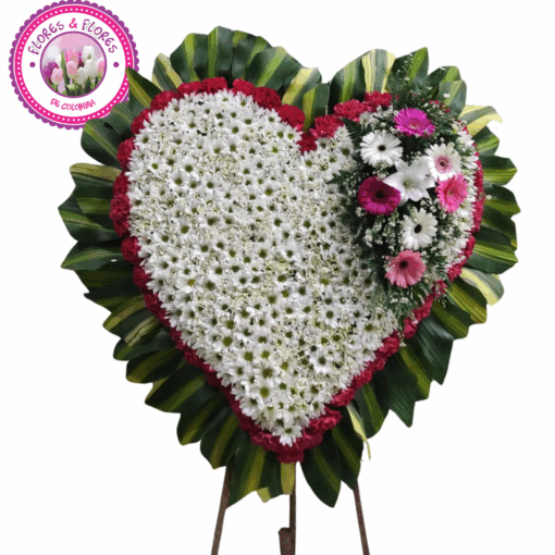corazon especial