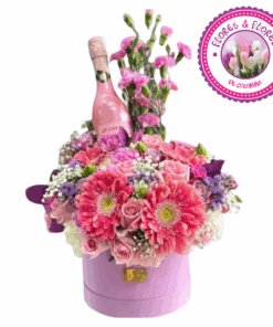 caja tropical mas jp